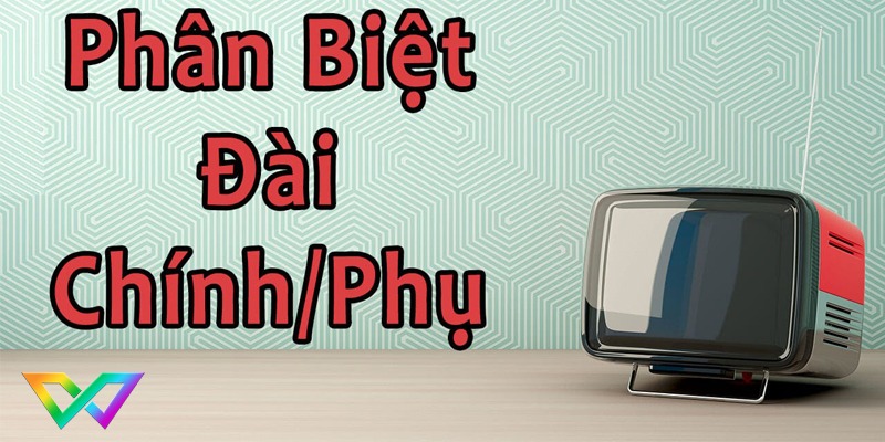 dau-hieu-nhan-biet-dai-chinh-dai-phu-xo-so