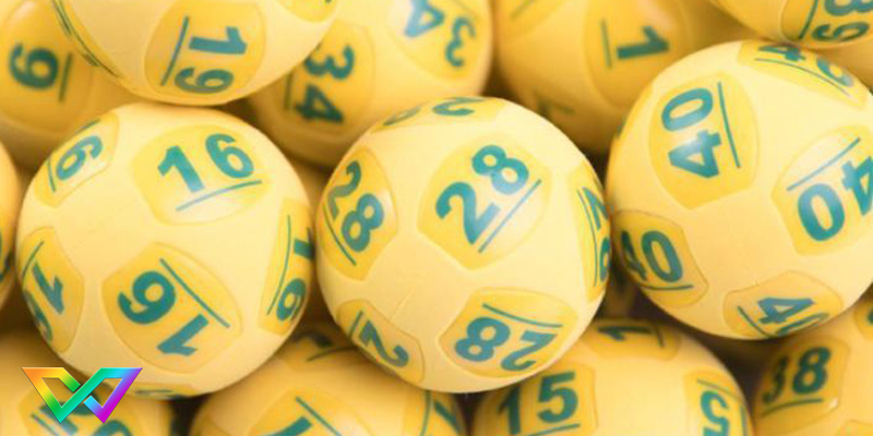 kinh-nghiem-nuoi-dan-de-36-so-bat-bai