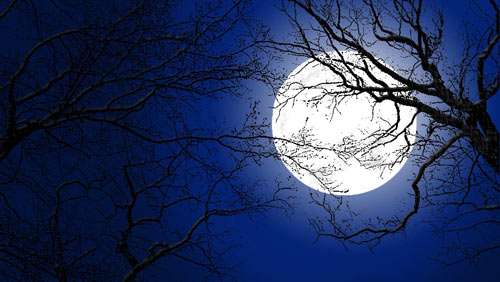 mo-thay-mat-trang-la-diem-bao-gi-2